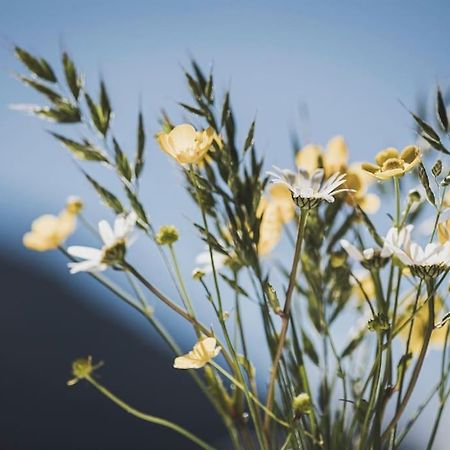 Alpenrose Lägenhet Ramsau im Zillertal Exteriör bild