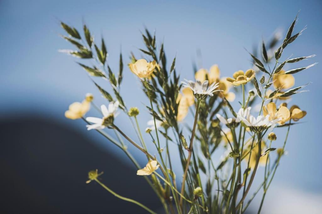 Alpenrose Lägenhet Ramsau im Zillertal Exteriör bild