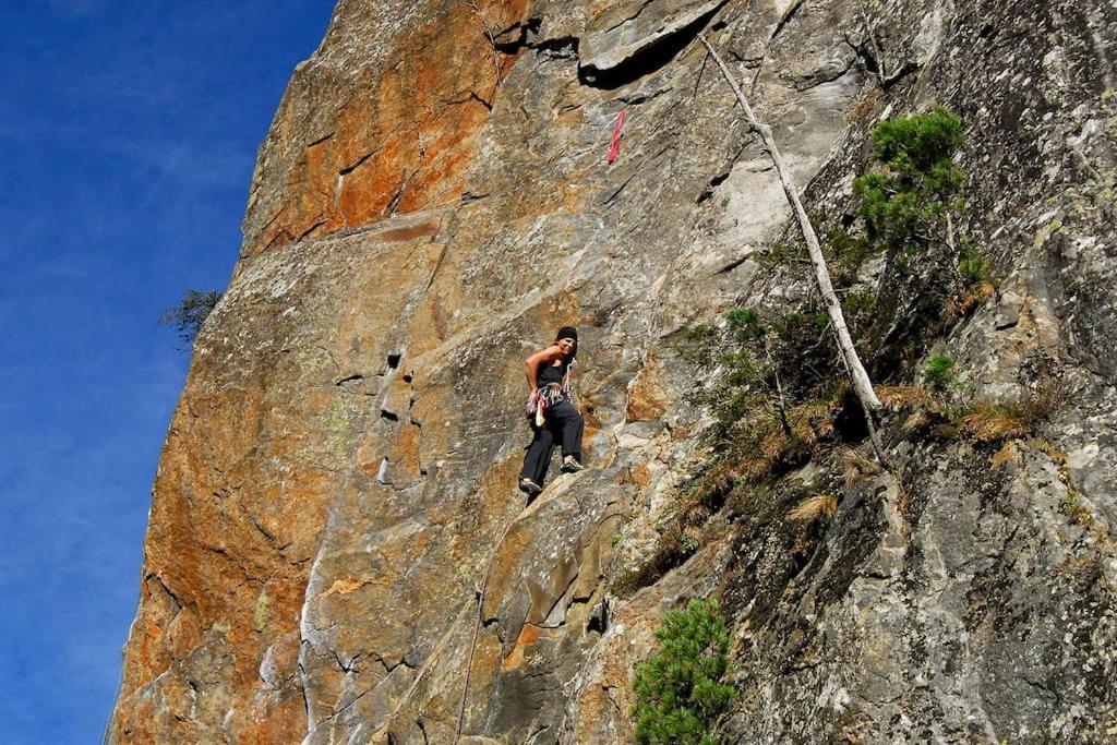 Alpenrose Lägenhet Ramsau im Zillertal Exteriör bild